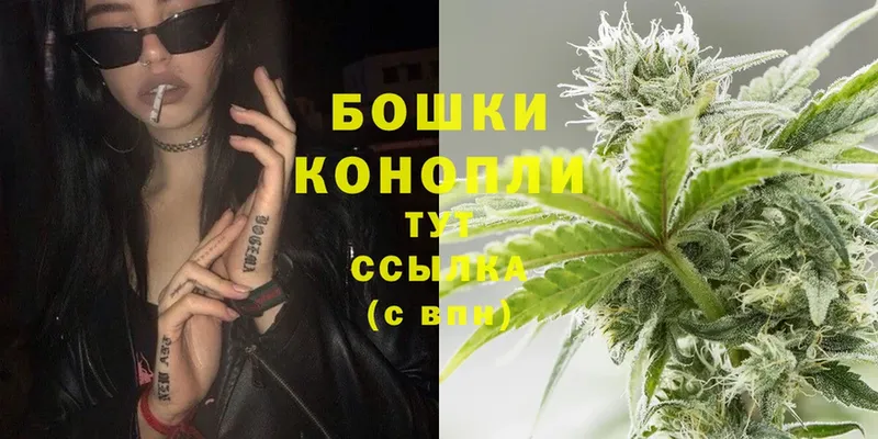 где продают   Ртищево  Бошки марихуана THC 21% 